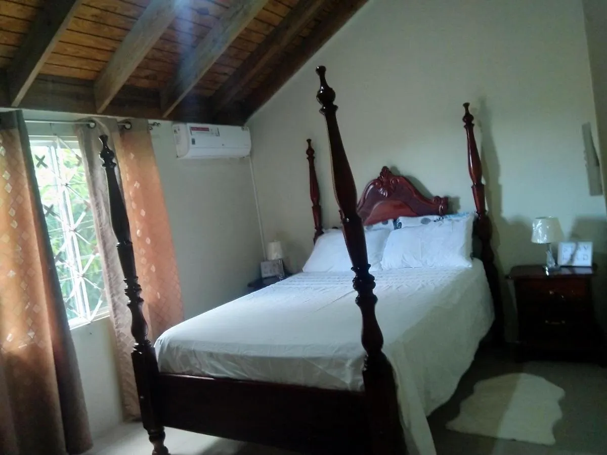 Spanish Palm Villa Spanish Town Holiday home